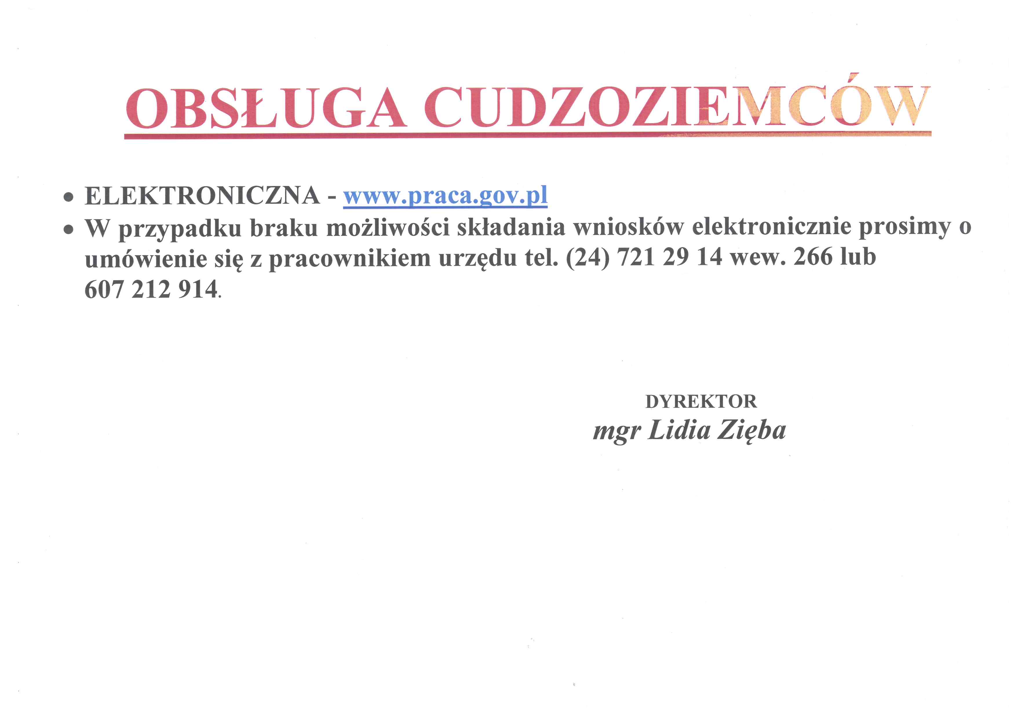 OBSŁUGA CUDZOZIEMCÓW